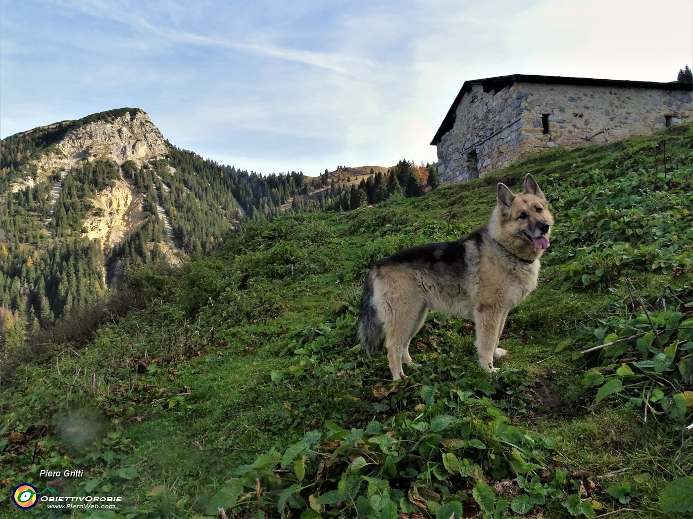 12 Dori ci attende alla prima baita con vista in anticima Pizzo Badile .JPG